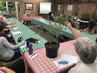 Taking Root workshop at Winterbourne House and Garden, 2021