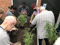 Taking Root workshop at Winterbourne House and Garden, 2021